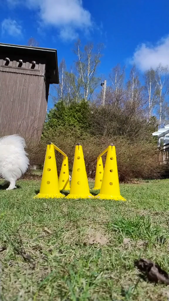 template