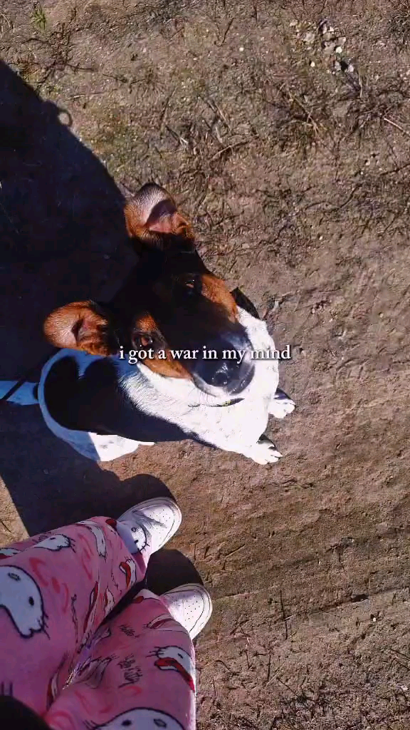 template