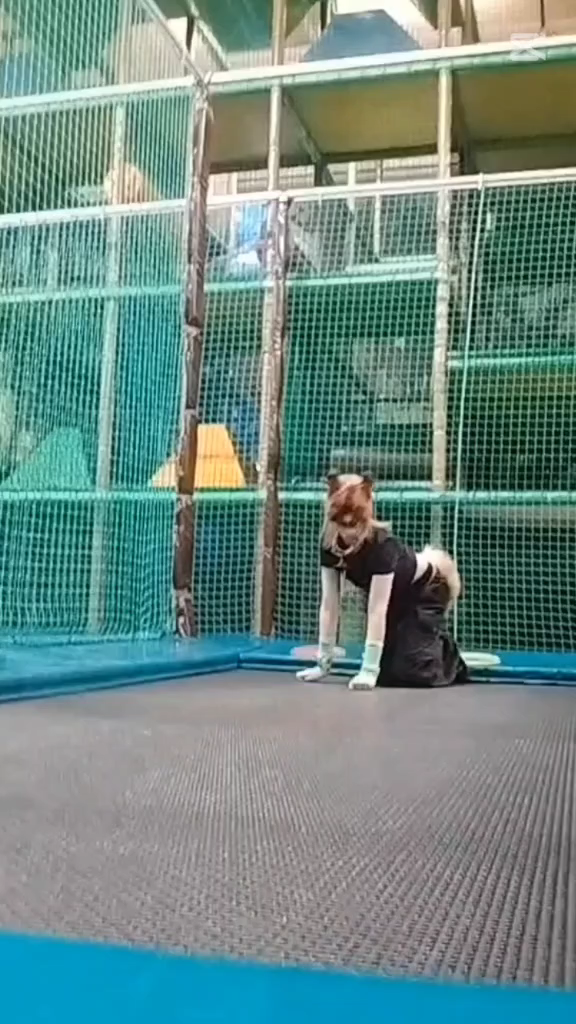 template