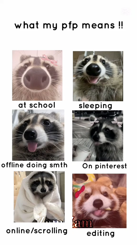 template