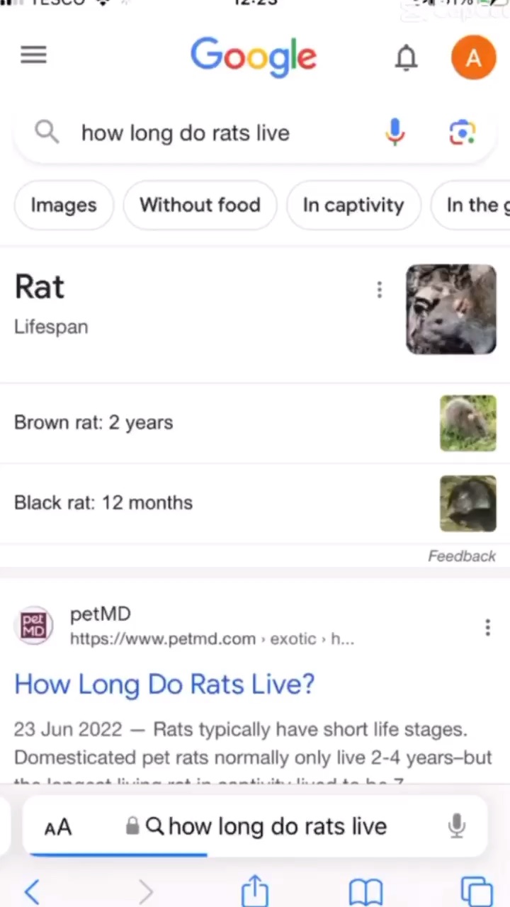 template