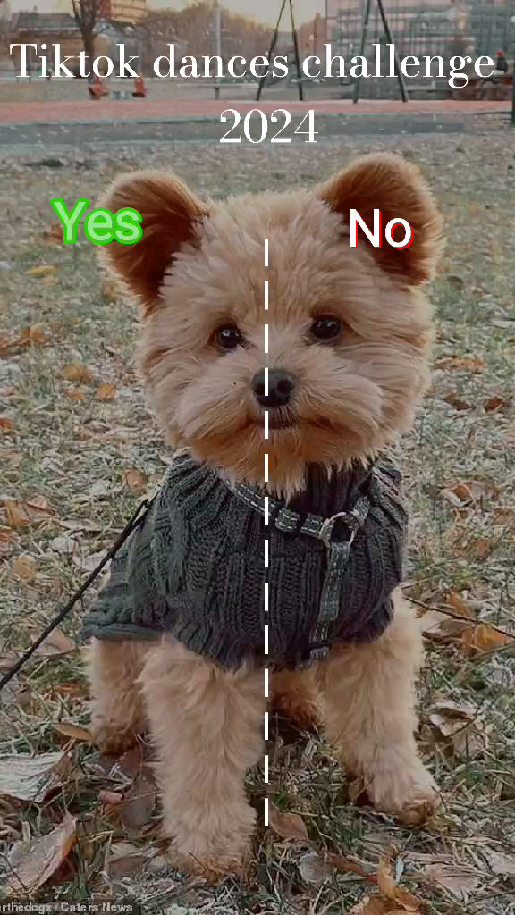 template