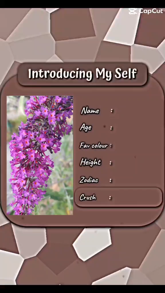 template
