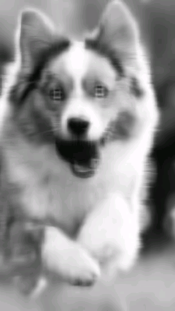 template