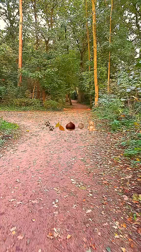 template