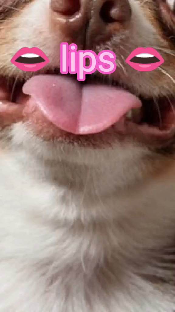 template