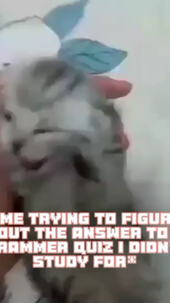 template