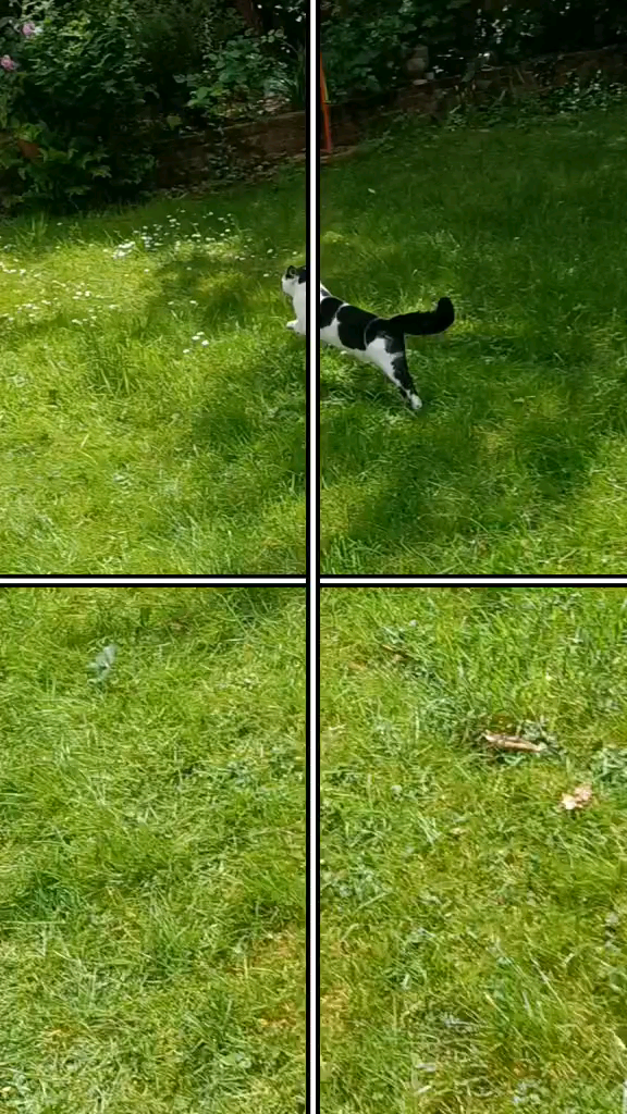 template