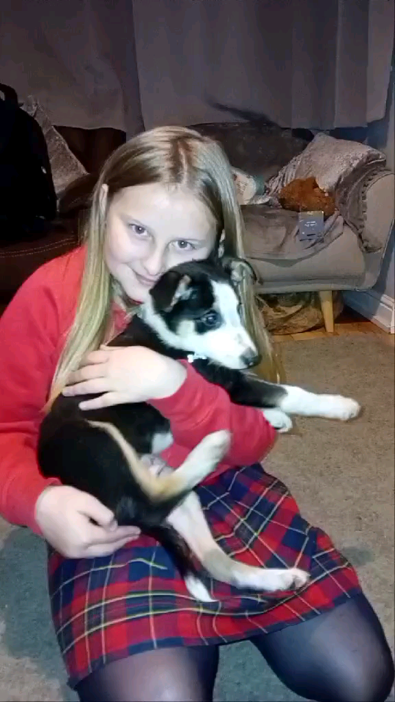 template