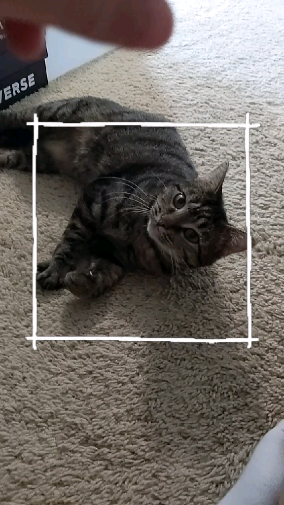 template