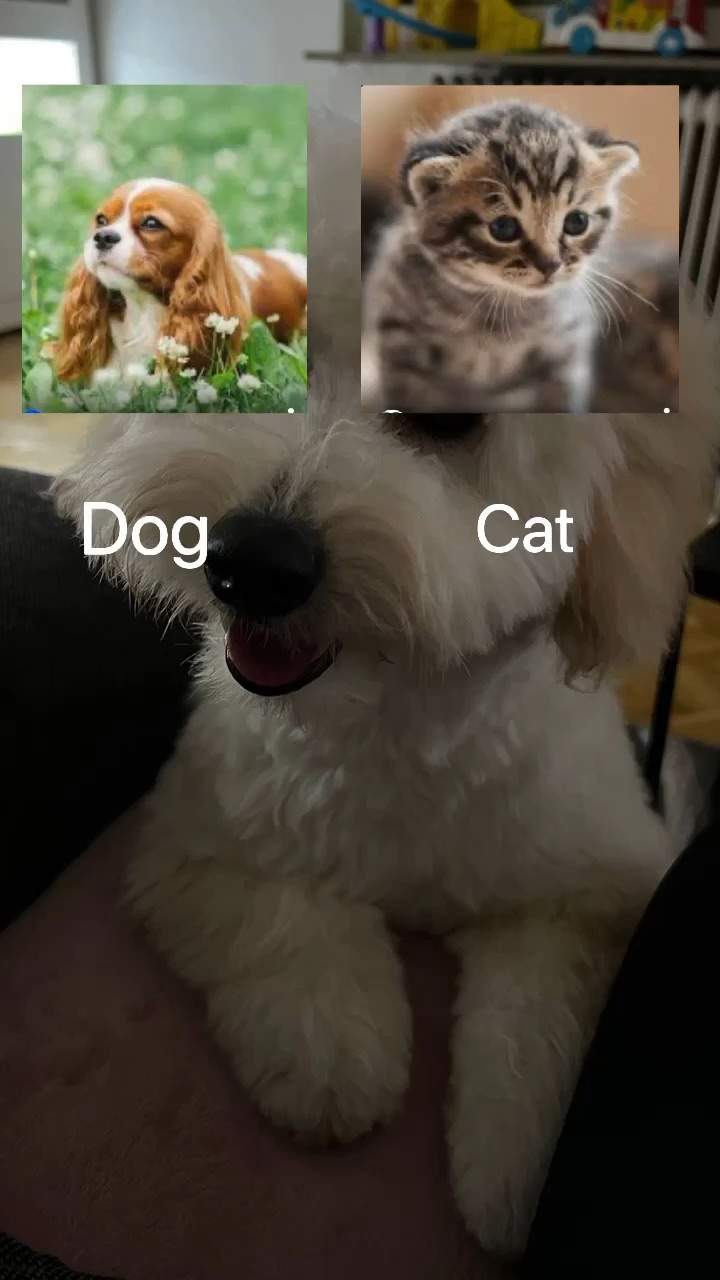 template
