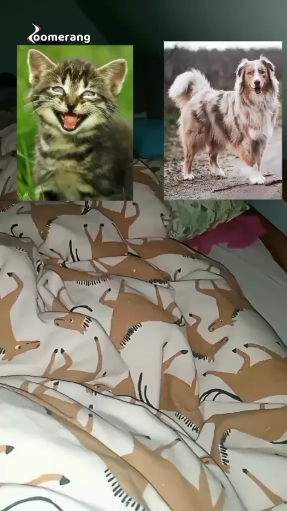 template