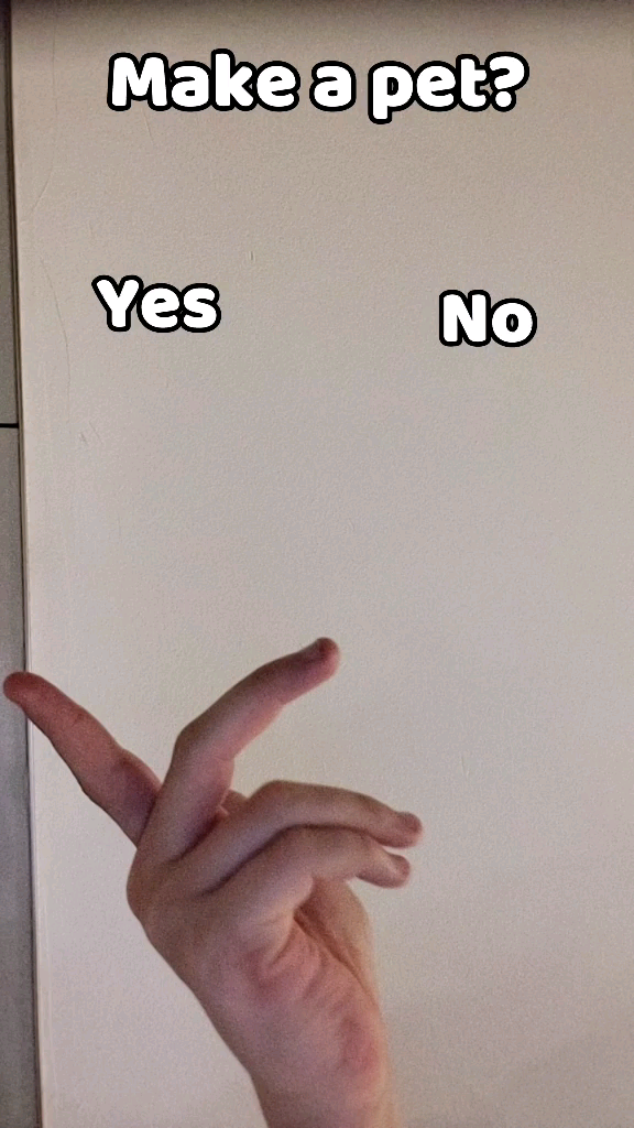 template