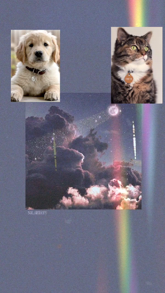 template