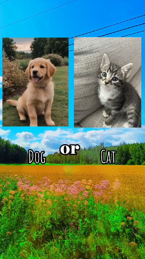 template
