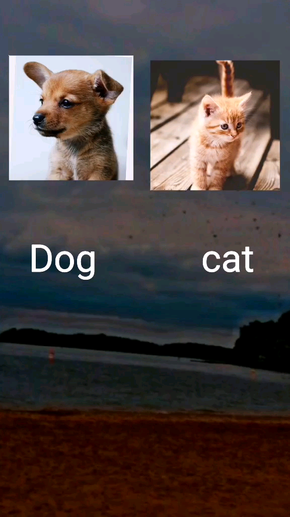 template
