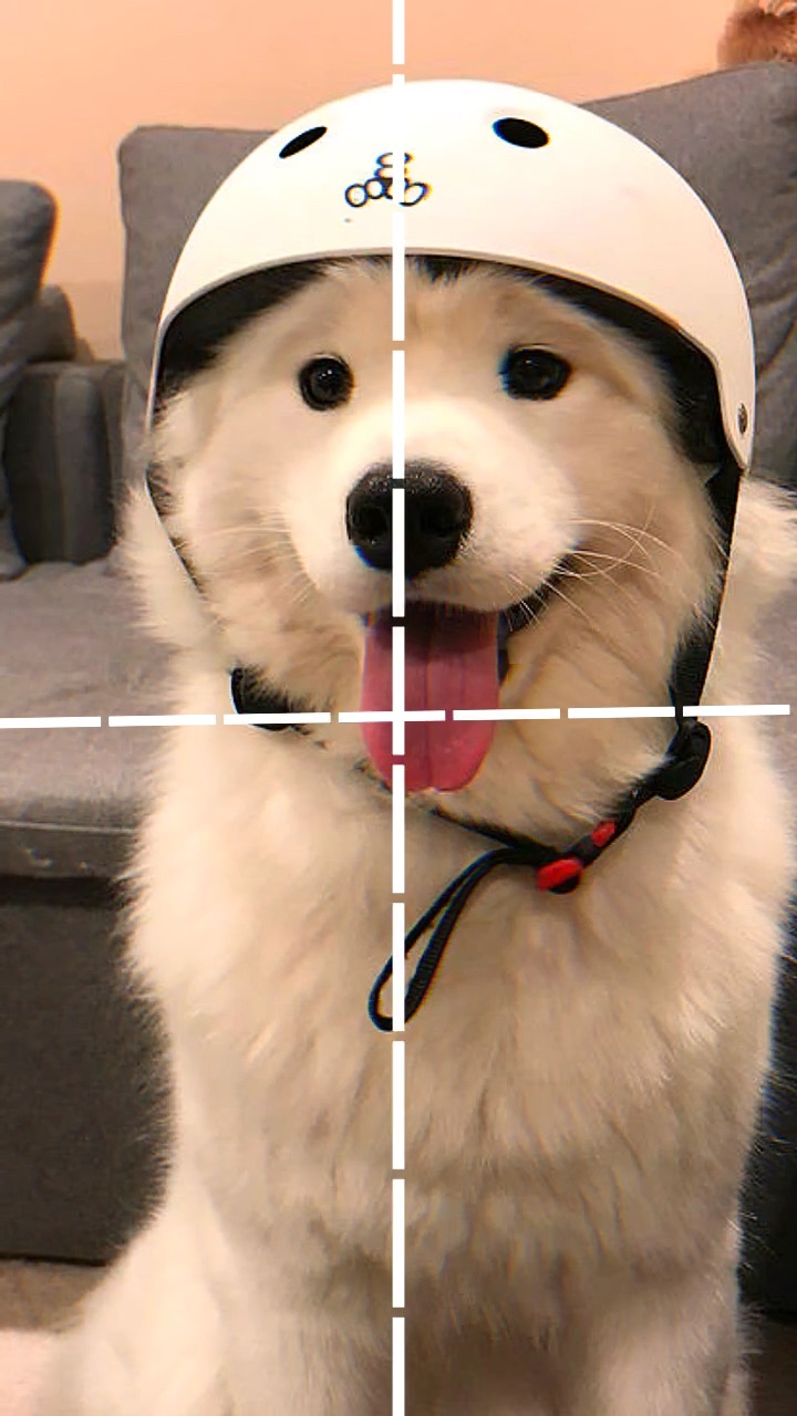 template