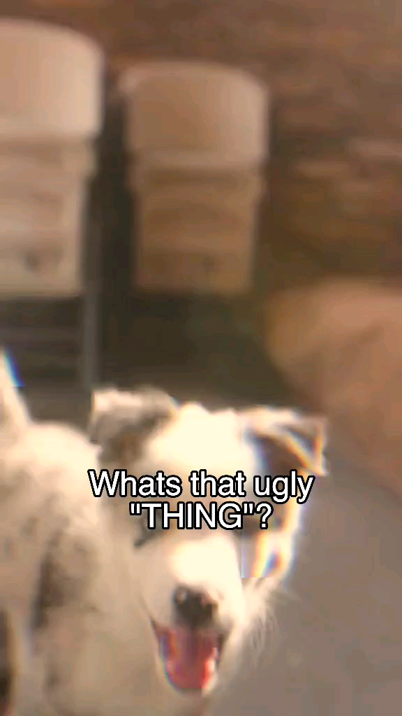 template