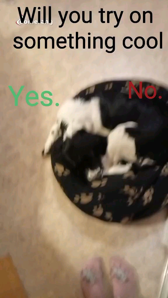 template