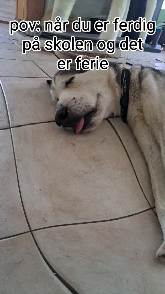 template