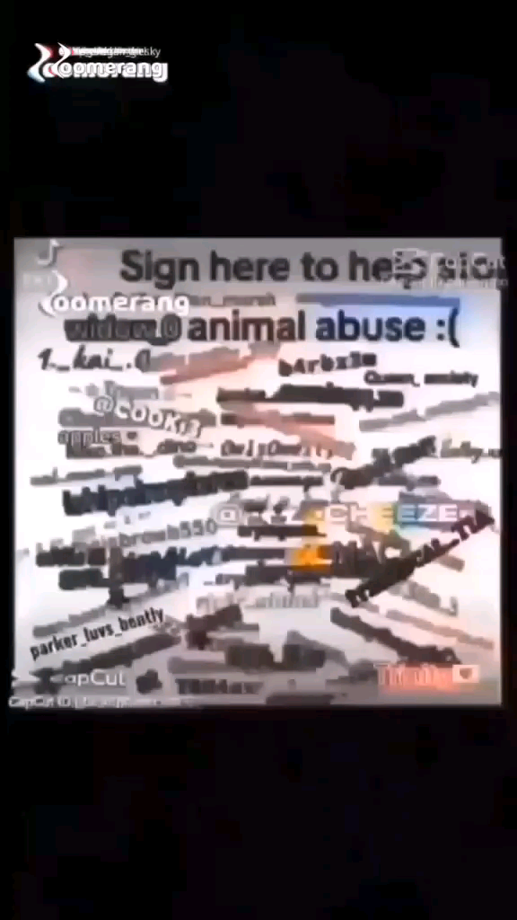 template