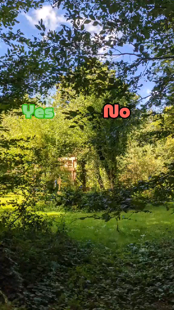 template
