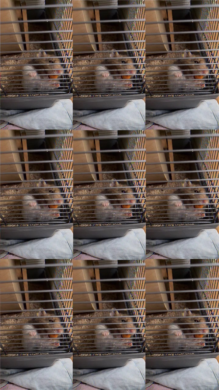 template