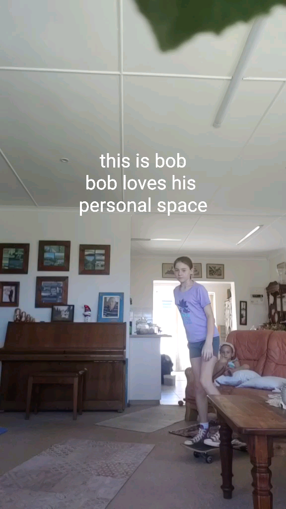 template