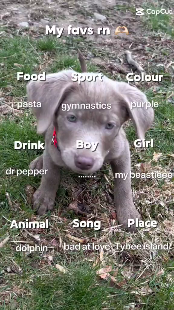 template