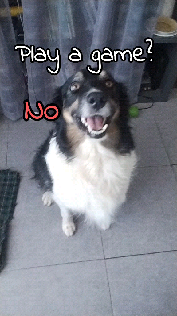 template
