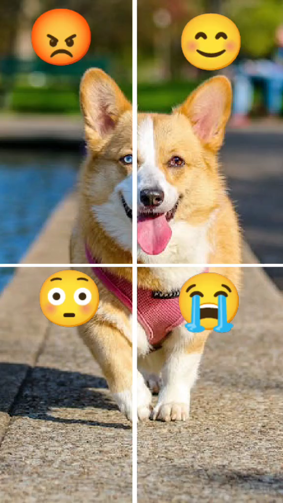 template