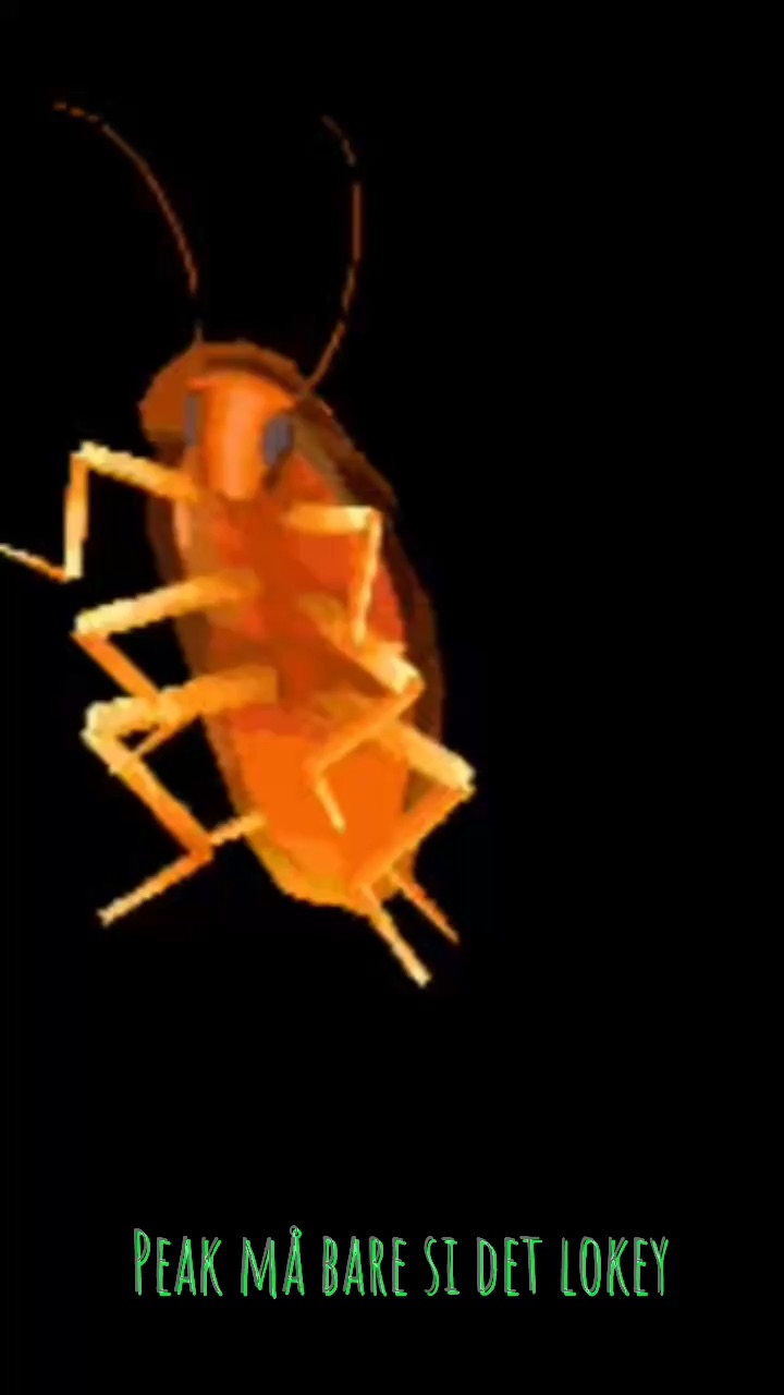 template