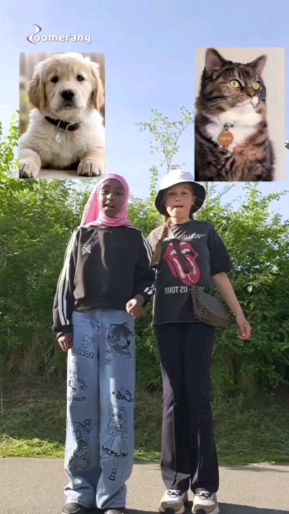 template