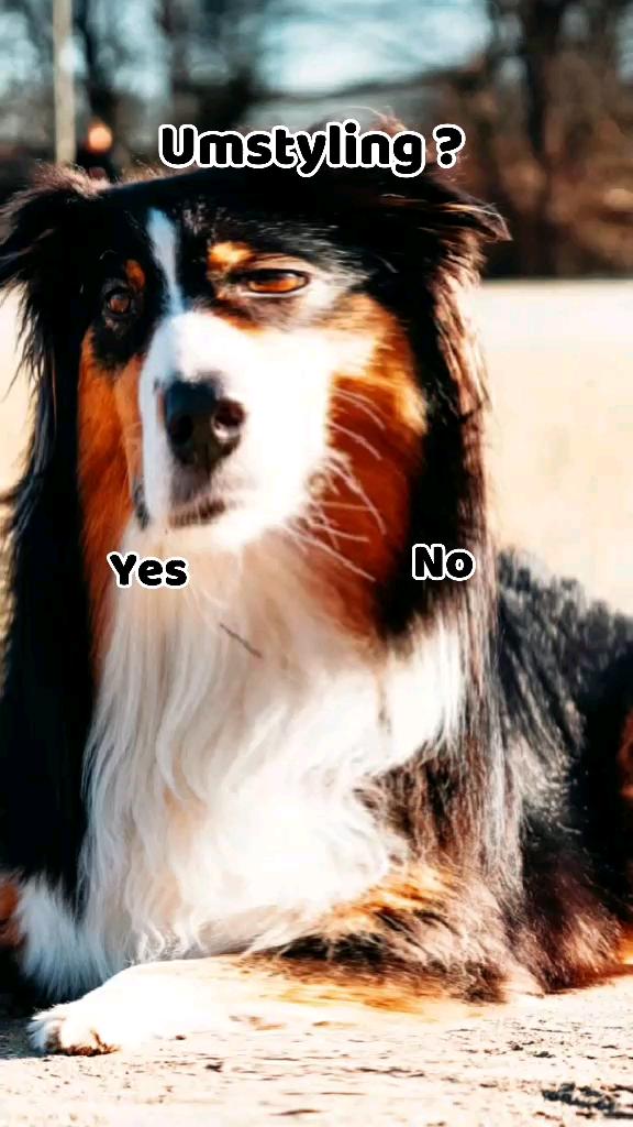 template