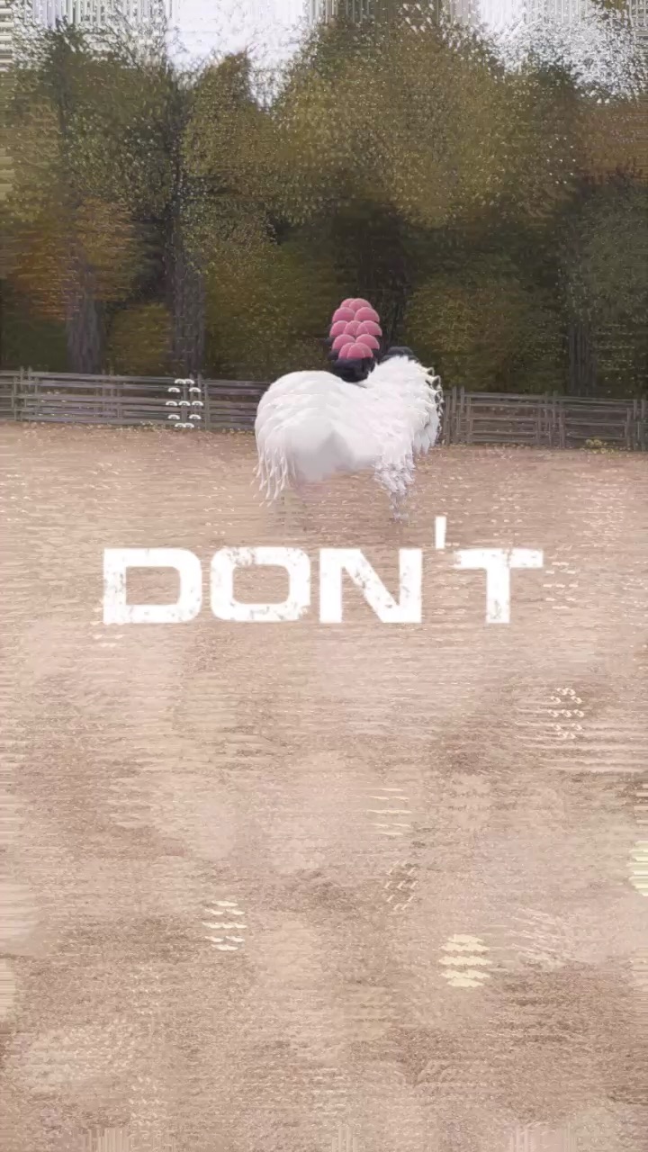 template