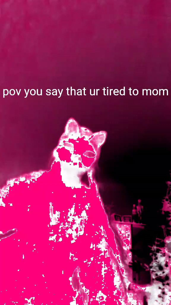 template