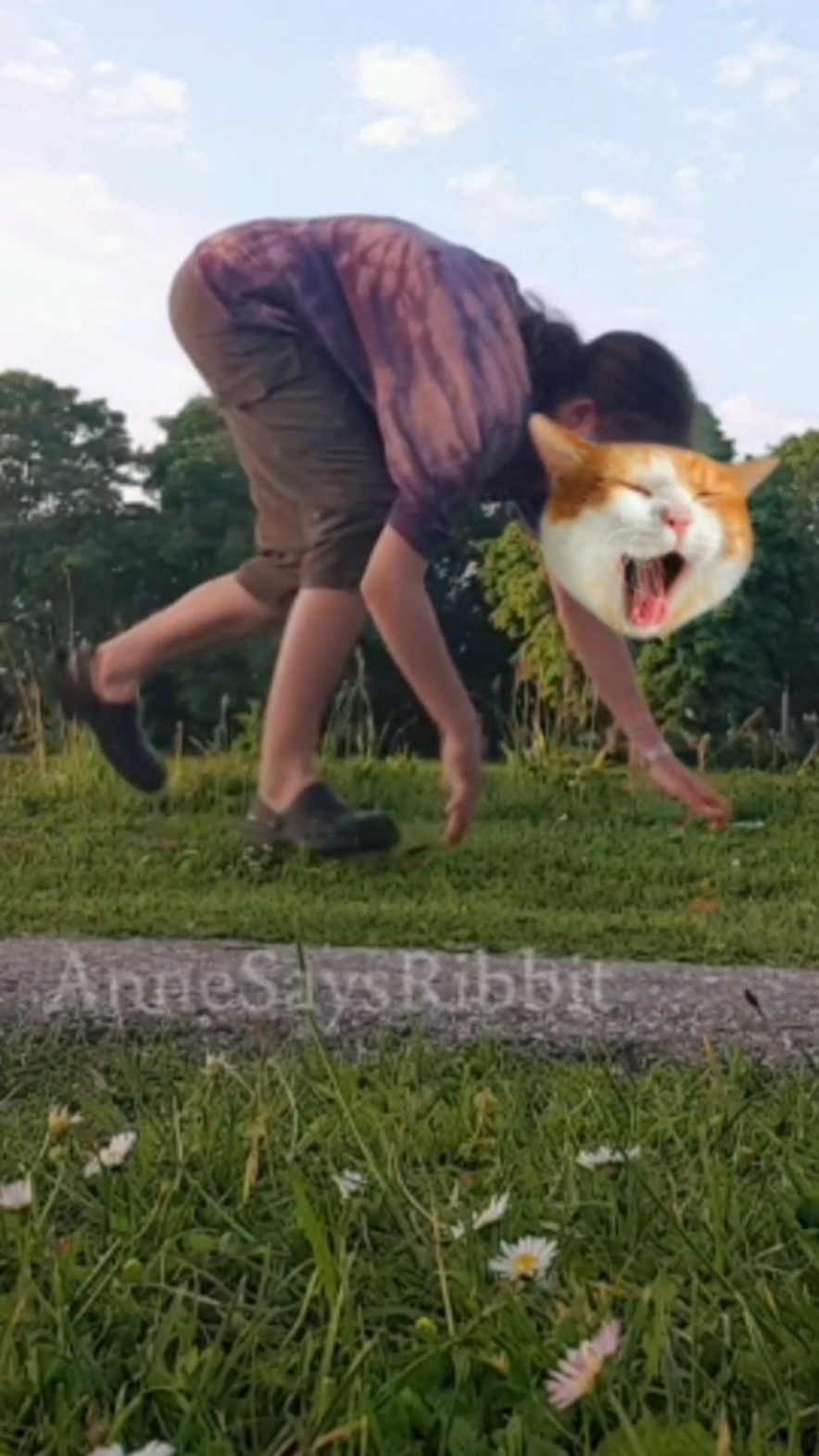 template