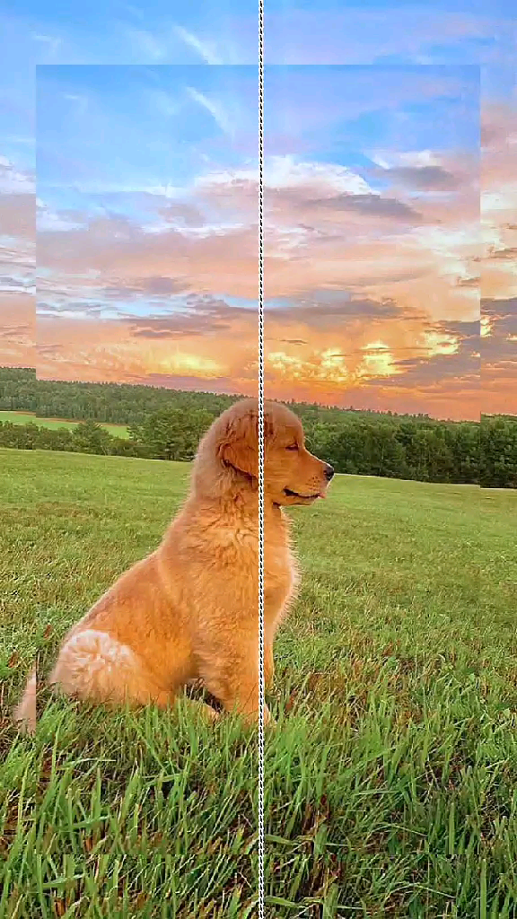 template