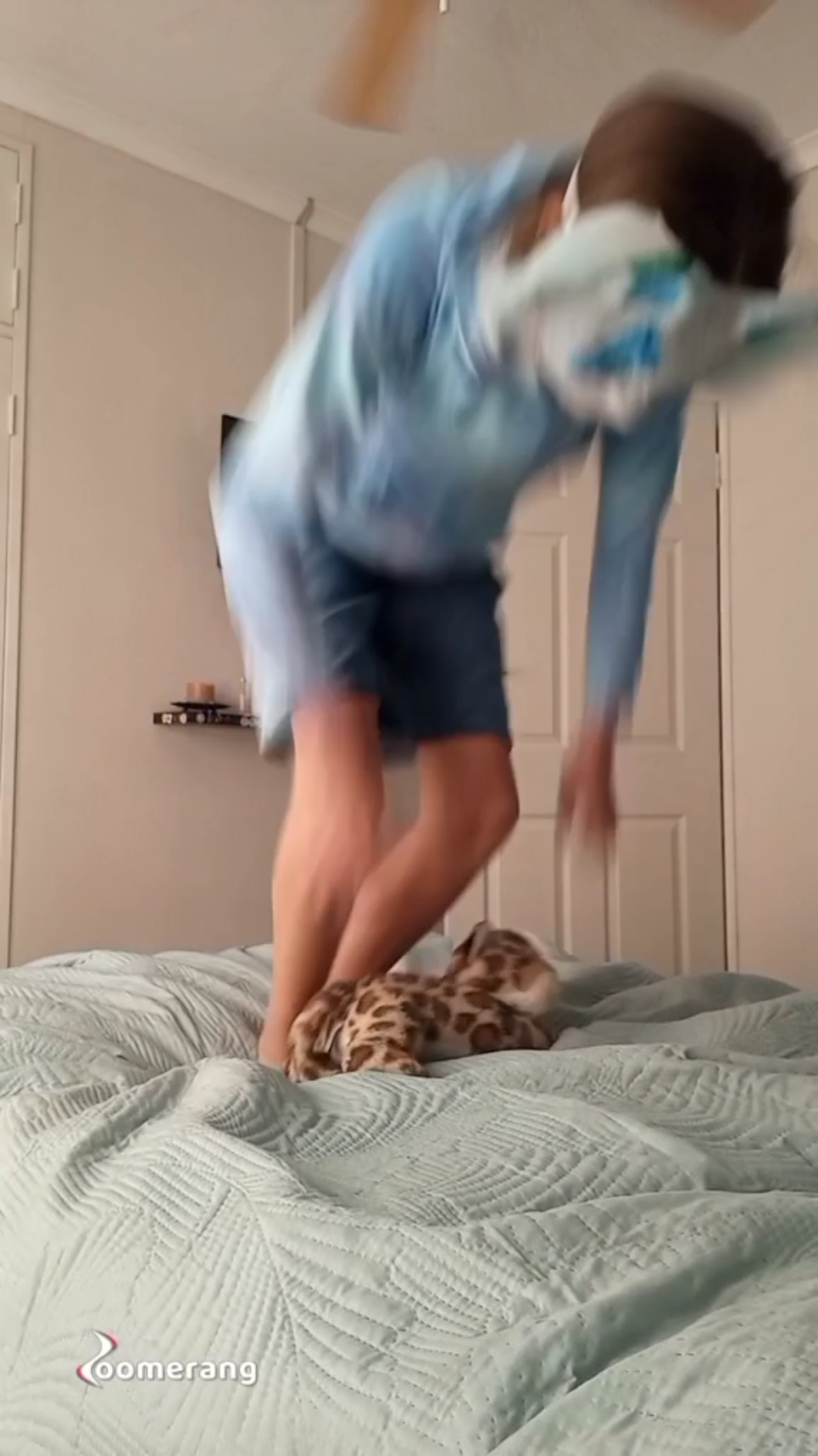 template