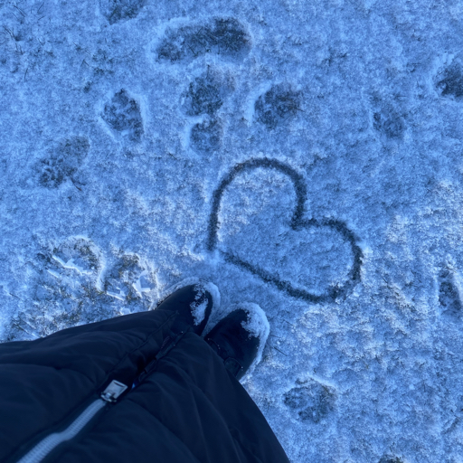 action icon