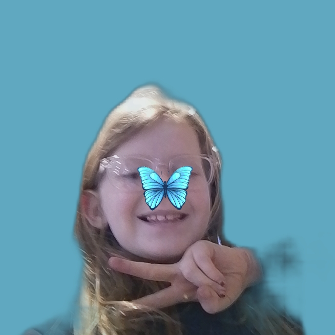 action icon