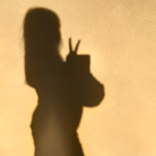 action icon