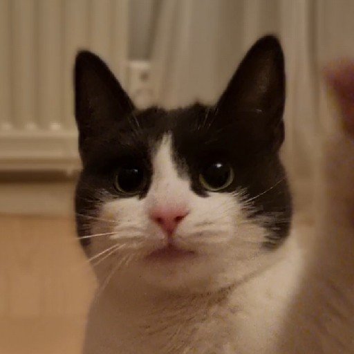 avatar image