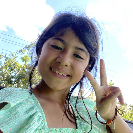 action icon