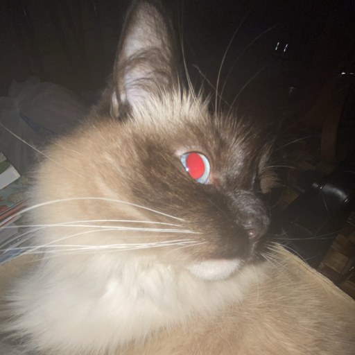 avatar image