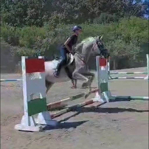 action icon