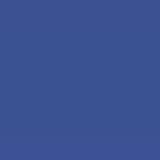 action icon