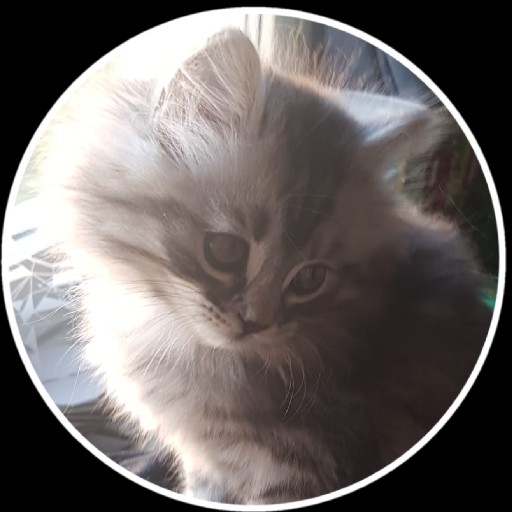 action icon