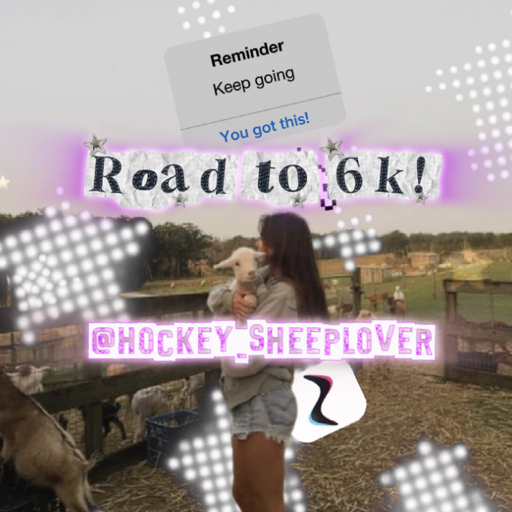 hockey_sheeplover avatar