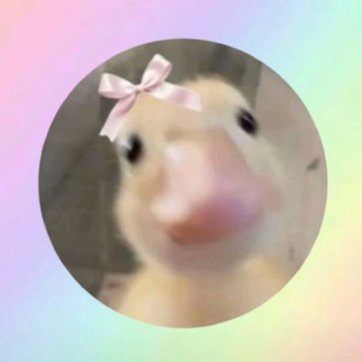 avatar image